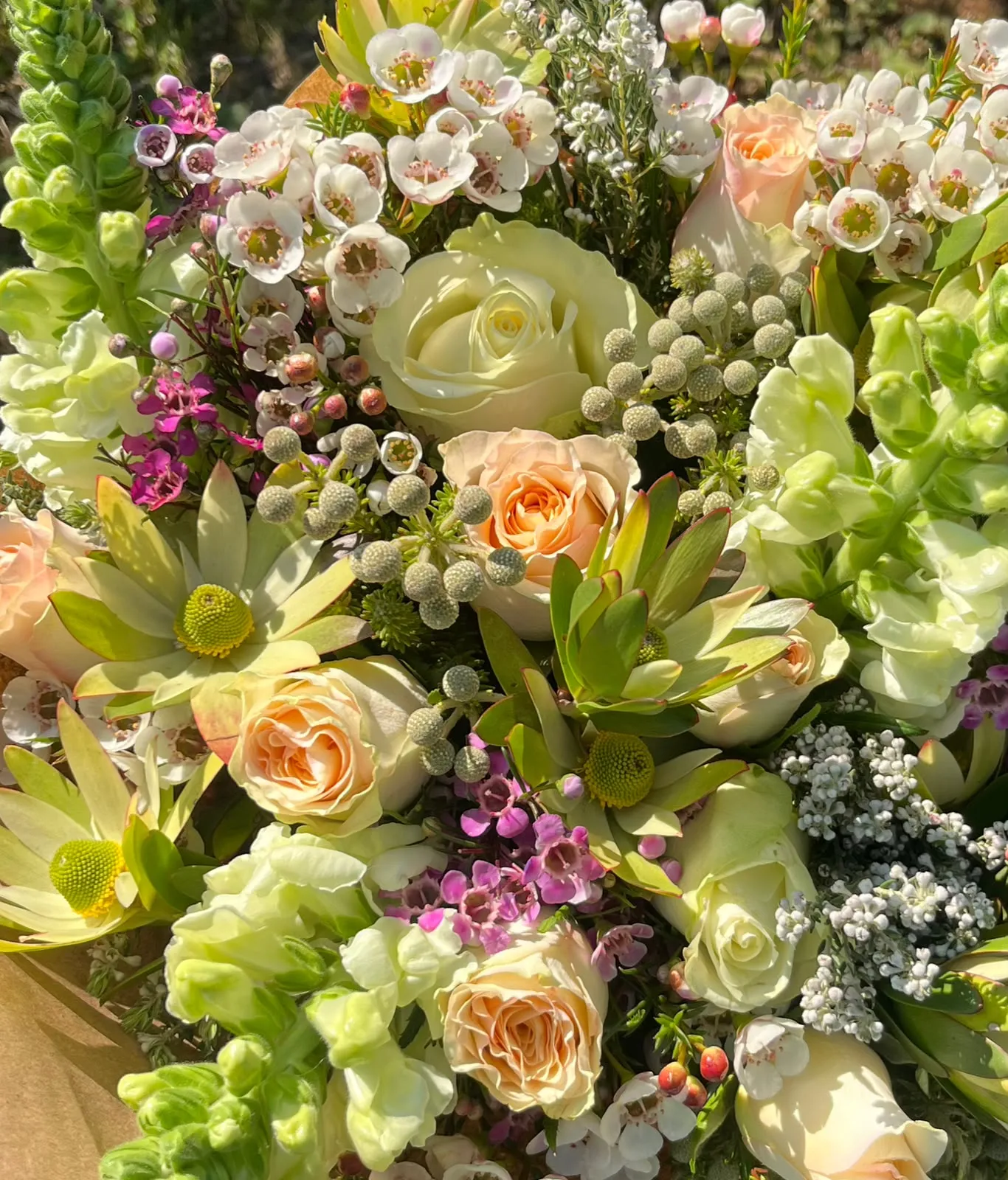 A close-up of peach and cream roses, pink wax flower and leucadendron in a pastel arrangement